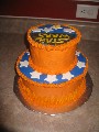 2010 11 05 - Orange Star Wars Cake