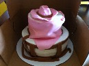 2011 12 03 - Cowgirl Cake