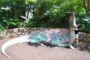 Animal Kingdom
