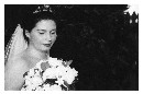Pre-Wedding - Crockatts