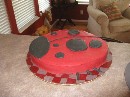 2010 08 19 - Ladybug Cake